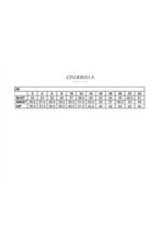 Load image into Gallery viewer, Cinderella Evening Dress CB077W
